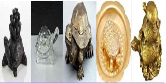 Turtle-is-Auspicious-to-Kee Turtle is Auspicious to Keep in the House