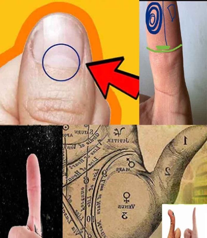 thumb analysis palmistry