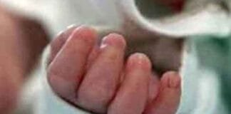 The Mystery of Life After Death: Can We Really Experience a New Life Beyond? Can Life Exist After Death? Unraveling the Mystery of Life Beyond