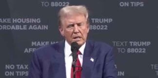 US Security Agencies Face Criticism Following Twin Attacks on Trump Donald Trump