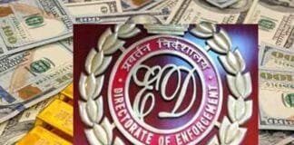 ED Raids Jaypee Infratech in ₹12,000 Crore Real Estate Scam; Gaursons, Suraksha Realty Also Under Lens Enforcement Directorate