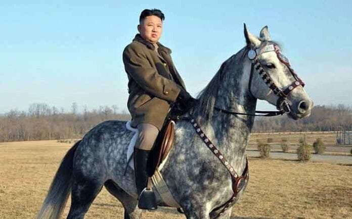 Kim-Jong-Un-Affinity-for-Or Kim Jong Un Affinity for Orlov Trotter horses