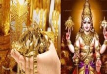 त्रिपुष्कर योग में धनतेरस 2024: लक्ष्मी-कुबेर पूजन और मंगल उपायों से होगा धनलाभ! धनतेरस 2024: त्रिपुष्कर योग के शुभ संयोग में लक्ष्मी-कुबेर पूजन का महत्व