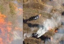 Stubble burning pollution latest update : Instead of decreasing, incidents of stubble burning are increasing in Punjab Incidents of stubble burning are increasing continuously in Punjab, Delhi will have to bear the brunt of this in the coming days - read the full detailed report