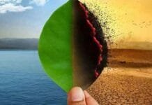 India’s climate crisis in 2024: Over 3,000 deaths, Homes destroyed in extreme weather events India climate change impact 2024