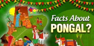 Why Pongal is Tamil Nadu’s Most Loved Festival Colorful Pongal celebrations in Tamil Nadu