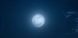 Margashirsha Purnima Upay 2024: Powerful Remedies for Success and Prosperity Margashirsha Purnima Upay 2024