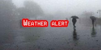 Weather Alert: Rain and Fog Intensify Cold Wave Across North India Weather alert