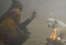 Delhi Weather Alert: Rain, Fog, and a Sudden Drop in Temperature Expected Weather Update