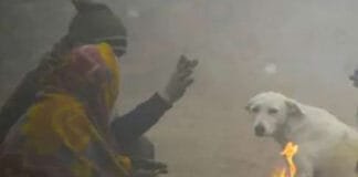 Weather Update Across Northern India: Cold Wave Intensifies With Snowfall and Rain Weather Update