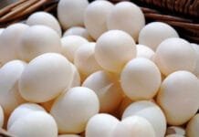 Egg Prices Surge by 70% in California Due to Avian Flu Outbreak Egg Prices Surge