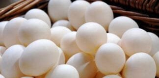 Egg Prices Surge by 70% in California Due to Avian Flu Outbreak Egg Prices Surge