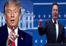 Elon Musk Could Be the Next TikTok Boss—Here’s Why Donald Trump Elon Musk