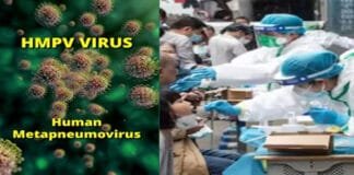 What is the HMPV Virus? Symptoms, Treatment and Global Impact Explained HMPV virus
