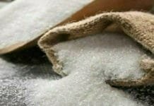 Sugar Industry in Crisis! Crop Diseases and Rising Costs Spell Trouble Sugar Industry in Trouble
