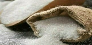 Sugar Industry in Crisis! Crop Diseases and Rising Costs Spell Trouble Sugar Industry in Trouble