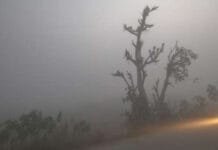 Cold Wave Strikes: 300+ Flights Disrupted, Train Delays Across India Weather Alerts