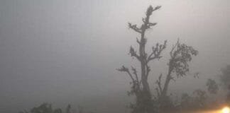 Cold Wave Strikes: 300+ Flights Disrupted, Train Delays Across India Weather Alerts