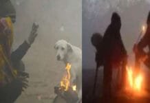 North India Freezes Under Harsh Cold Wave: Dense Fog, Chilling Winds and Sub-Zero Temperatures Weather Updates