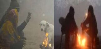 North India Freezes Under Harsh Cold Wave: Dense Fog, Chilling Winds and Sub-Zero Temperatures Weather Updates