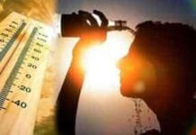 2025 Set to Become Second- or Third-Warmest Year Ever, EU Climate Agency Warns as Global Heat Crisis Deepens Weather update