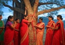 Vat Savitri Vrat 2025: Why 26 May Is The Real Date, Not 27 – Full Ritual Guide Inside Vat Savitri Vrat 2025