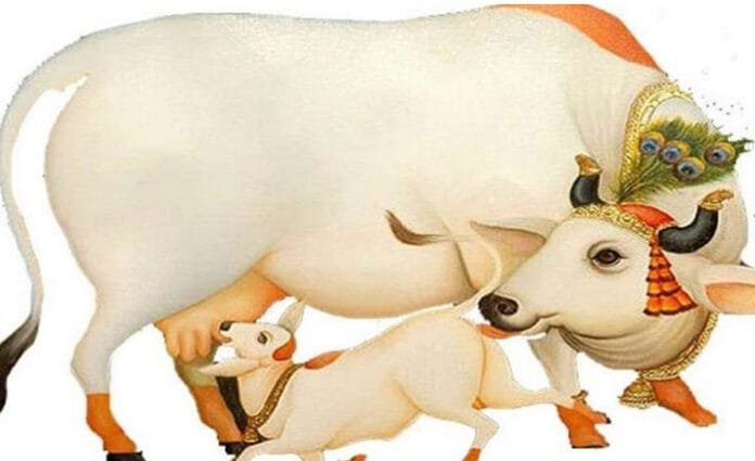 Kamdhenu-Cow-Idol Why Placing a Kamdhenu Cow Idol at Home Brings Prosperity and Positive Energy