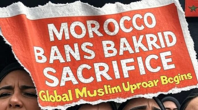 Morocco Bans Animal Sacrifice on Bakrid 2025: King’s Order Sparks Islamic World Outrage