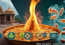 Why Camphor Is Essential in Hindu Worship, Ayurveda and Vastu Camphor holds a sacred place in Sanatan Dharma and is praised in both Ayurveda and Vastu
