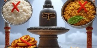 These 4 Foods Are Forbidden During Sawan—You’ll Be Shocked by the Scientific Reasons You’ve heard not to eat curd in Sawan, but what’s the real reason? Get the full story behind these dietary do’s and don’ts straight from scriptures and science.