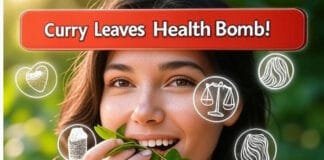 Chew Curry Leaves on an Empty Stomach Daily: Discover the Surprising Health Benefits Chew Curry Leaves Daily and Watch 8 Health Problems Vanish Naturally!