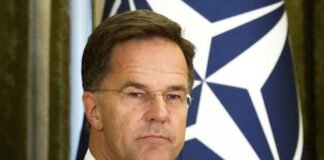 Trade War Meets Ukraine War: Trump’s Tariffs on India ‘Directly Hurting Russia,’ Says NATO Chief NATO Secretary General Mark Rutte