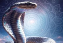 Swapna Shastra: Dreaming of Snakes – Auspicious or Inauspicious? Hidden Signs About Your Future