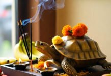 4 Auspicious Yogas on Labh Panchami — Why Buying a Tortoise on October 26, 2025 Brings Goddess Lakshmi’s Blessings elebrate Labh Panchami (Oct 26, 2025): 4 auspicious yogas, the morning puja muhurat, and why a tortoise (symbolic or brass) brings Lakshmi’s blessings.