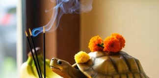 4 Auspicious Yogas on Labh Panchami — Why Buying a Tortoise on October 26, 2025 Brings Goddess Lakshmi’s Blessings elebrate Labh Panchami (Oct 26, 2025): 4 auspicious yogas, the morning puja muhurat, and why a tortoise (symbolic or brass) brings Lakshmi’s blessings.