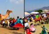 Akshaya Navami 2025 and Pushkar Fair 2025: Date, Significance, Rituals & Travel Highlights Pushkar Fair 2025 brings colour, tradition and global travellers to Rajasthan’s deserts.