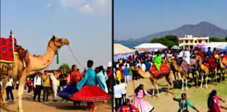 Akshaya Navami 2025 and Pushkar Fair 2025: Date, Significance, Rituals & Travel Highlights Pushkar Fair 2025 brings colour, tradition and global travellers to Rajasthan’s deserts.