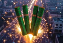 Green Crackers: Less Toxic, But Still a Choking Hazard for Delhi’s Air This Diwali