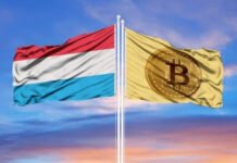 Luxembourg Sovereign Fund Invests Millions in Bitcoin ETFs