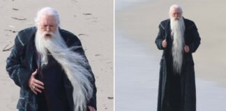 John Lithgow Takes on Dumbledore Role in New Harry Potter HBO Series Veteran actor John Lithgow cast as Albus Dumbledore in the upcoming HBO Harry Potter adaptation,