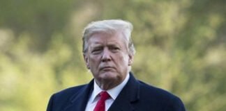 Trump Proposes Tariff Rebate Checks for Americans After 2025 Elections: Aims to Offset Costs and Boost US Economy Donald Trump