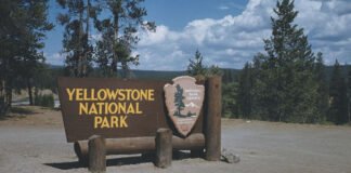 U.S. National Parks Raise International Fees 50% Under “America First” Policy Tourists at Yellowstone National Park with “Entrance Fee” sign indicating raised prices for international visitors.