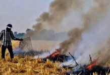 Punjab’s Moga Sees Surge in Farm Fires as Stubble Burning Chokes Air Quality Farmers in Punjab burning crop residue as experts debate broader agricultural reforms to address India’s air, water, and food crises.
