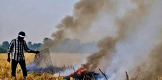 Farm Policies Under Fire: Experts Say Stubble Burning Isn’t the Whole Story as India Faces Air, Water, and Diet Crises Farmers in Punjab burning crop residue as experts debate broader agricultural reforms to address India’s air, water, and food crises.