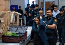 Fake NIA Officer Caught Smuggling 11kg of Exotic Weed from Bangkok at Delhi Airport
