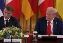 U.S. Weapon Sales to NATO and Ukraine Frozen Amid Shutdown — A Strategic Edge Emerges for Russia