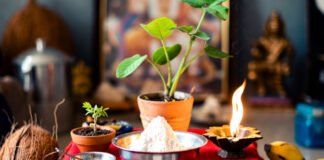 Powerful Vedic Remedies for Rahu & Ketu: Ancient Rituals, Mantras and Lifestyle Practices for Balancing Shadow Planets Explore authentic Vedic remedies for Rahu and Ketu, including mantras, pujas, charity, gemstones, and lifestyle practices derived from classical texts to reduce malefic effects and restore spiritual balance