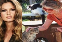 Brigitte Bardot, Iconic French Actress and Animal Rights Pioneer, Dies at 91 Iconic black-and-white portrait of Brigitte Bardot in her prime as a French film star and sex symbol