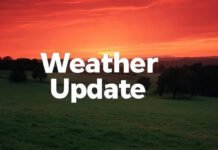 Delhi Air Quality Slips to ‘Poor,’ CPCB Warns of ‘Very Poor’ AQI on Saturday Delhi smog reduces visibility as air quality remains poor in the national capital