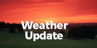 Delhi Air Quality Slips to ‘Poor,’ CPCB Warns of ‘Very Poor’ AQI on Saturday Delhi smog reduces visibility as air quality remains poor in the national capital